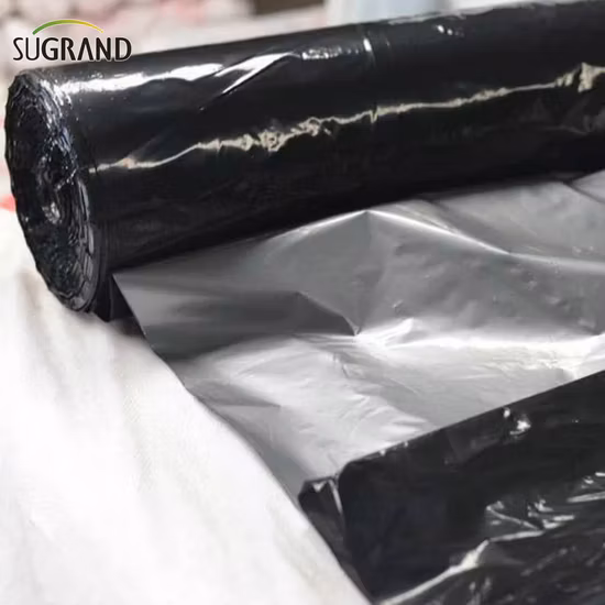 PE 농업용 생분해성 검정 및 은색 반사 플라스틱 멀치 시트